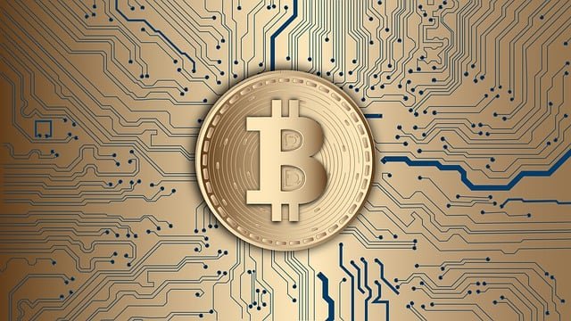 Altcoins em Alta Após o Halving do Bitcoin: Motivos